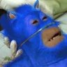 Profilbild von animal silvestre