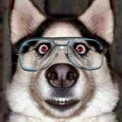 Ra_Bies's profile picture