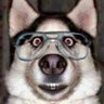 Ra_Bies 3.0 profil fotoğrafı