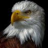 CA RajeshK's profile picture