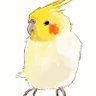 Profilbild von miko33