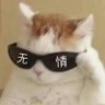 猫猫头 的头像