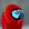 T profil fotoğrafı