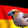 Kernbeißer 🇦🇹🇩🇪🇨🇭's profile picture