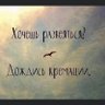 Фото профиля нє ну а шо?
