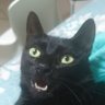 Profilbild von Ridley