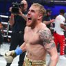Jake Paul Stan's profile picture