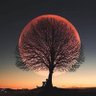 BZ AI's profile picture