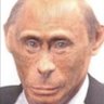 Putin's nature 的头像