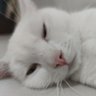 oyung profil fotoğrafı