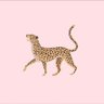 نُهى's profile picture