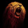 Фото профиля 🦁 İCARDİ 🦁