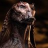 Profilbild von Darth Jar Jar
