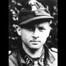 Michael Wittmann's profile picture
