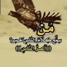Adnan Saltan's profile picture