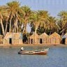 صلاح نصر العملاق profil fotoğrafı