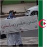 Amal Naili's profile picture