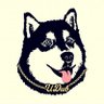 Profilbild von Noah Garguile
