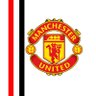We Are United's profile picture