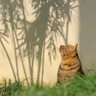 タケノコ🎋 ₍⸍⸌̣ʷ̣̫⸍̣⸌₎'s profile picture