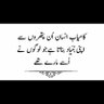 Shahid Amin's profile picture
