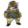 Adrianoꑭ 的头像