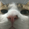 dawae's profile picture