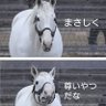 Profilbild von 馬ねえさん