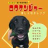 まよいマイマイ profil fotoğrafı