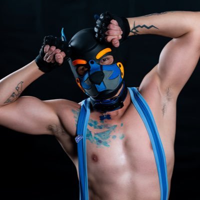 RioThePuppet's profile picture