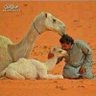 Фото профиля محمد الدليمي