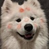 มอยอ ᙏ̤̫'s profile picture