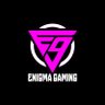 Enigma Gaming's profile picture