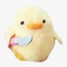 Profilbild von Chi chi