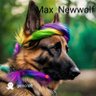 max Newwolf R&D's profile picture