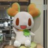うっち～@アイドル垢's profile picture