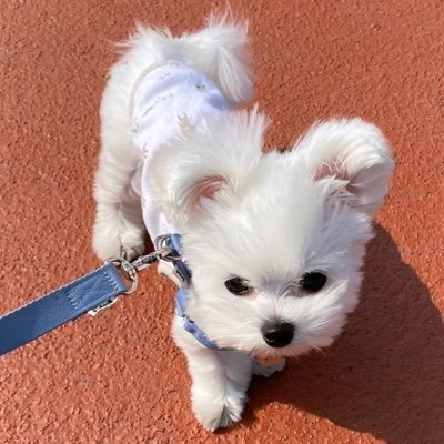 두나!'s profile picture