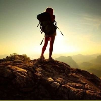 TBGlobetrotter's profile picture