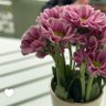 Фото профиля أم الفهد