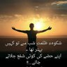 تلخ بات،شیریں انداز 的头像