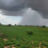 Фото профиля محمد بن حماد