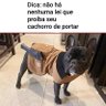 Baitaca Sincero profil fotoğrafı