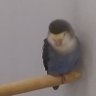 Profilbild von 元建築士の卵