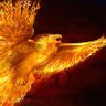 CryptoPhoenix27 profil fotoğrafı