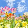 usa🩷 君の幸せを願って止まないよ!'s profile picture