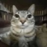 Jukzuz_9 profil fotoğrafı