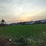 JAGANRAJ profil fotoğrafı