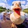 Roast Duck 的头像