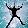 Tarantula Noob's profile picture