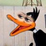 Profilbild von SleepyLagoon